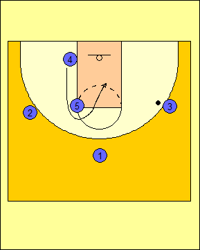 Basketball Coaching 101 image.
